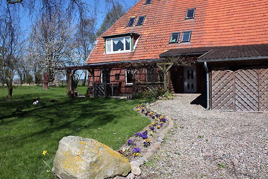 Bunte Frühlingsblumen laden ein