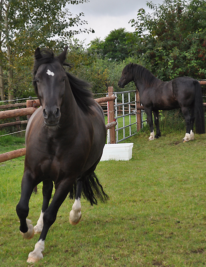 einladung geburtstag text 60